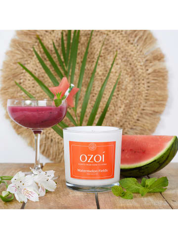 Ozoi Geurkaars "Watermelon Mint" oranje - 300 g