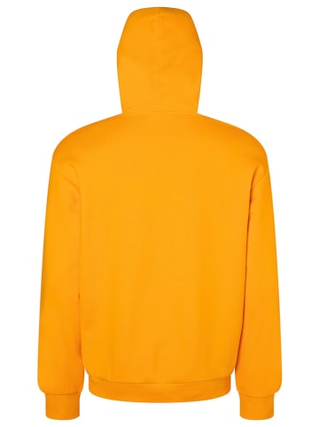 Marmot Hoodie "Earth Day" in Orange