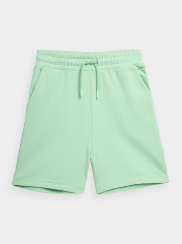 4F Short groen