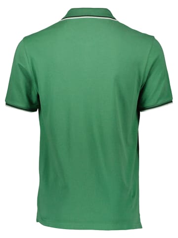 Champion Poloshirt in Grün