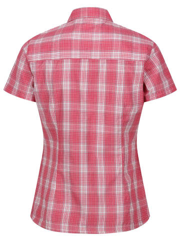 Regatta Functionele blouse "Mindano VII" roze