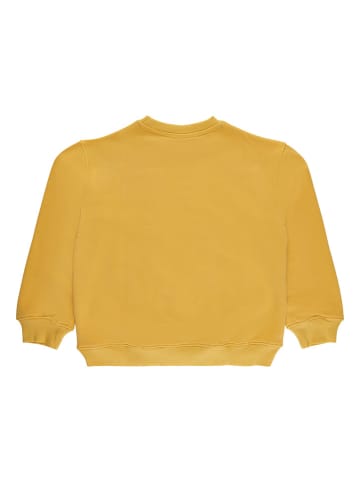 The NEW Sweatshirt in Gelb