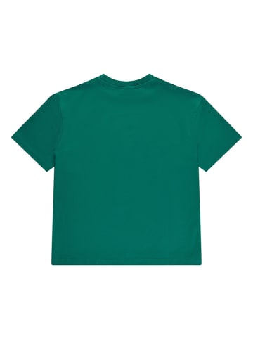 The NEW Shirt groen