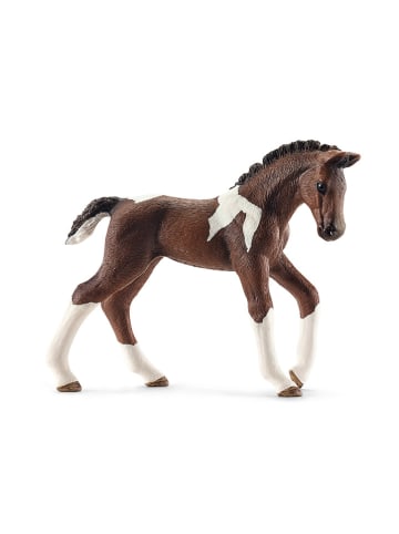 Schleich Speelfiguur "Trakehner Veulen" - vanaf 5 jaar