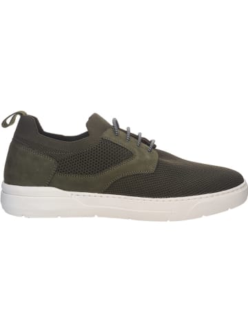 SALAMANDER Sneakers donkergroen