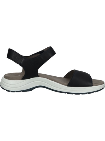 Ara Shoes Leren sandalen zwart