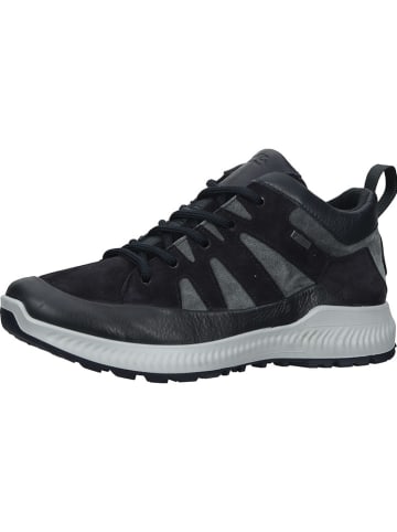Ara Shoes Skórzane sneakersy w kolorze szarym