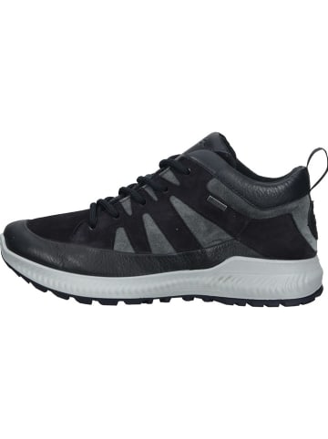 Ara Shoes Leder-Sneakers in Grau