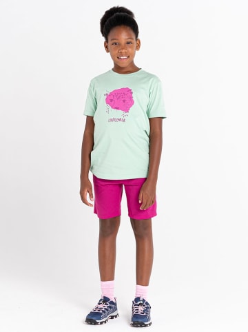 Dare 2b Shirt "Trailblazer" in Mint