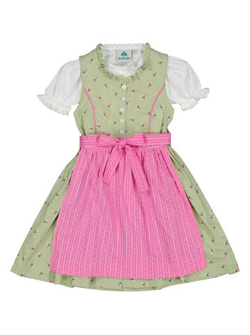 Isartrachten Dirndl groen/roze