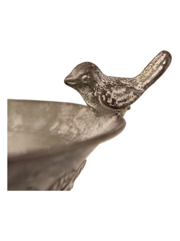 Clayre & Eef Vogelfutterschale in Grün - (B)20 x (H)12 x (T)17 cm