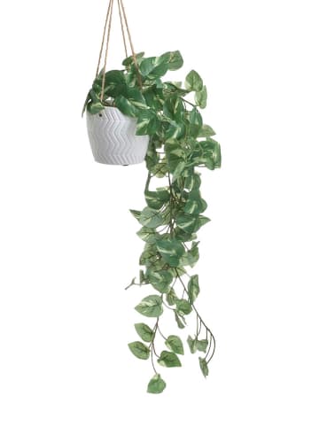 InArt Wisząca sztuczna roślina w kolorze zielonym - dł. 80 cm