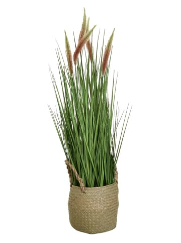 InArt Kunstplant groen - (H)78 cm