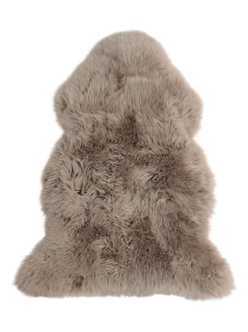 Kaiser Naturfellprodukte Lammfell in Taupe