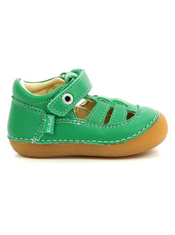 Kickers Skórzane buty "Sushy" w kolorze zielonym do nauki chodzenia