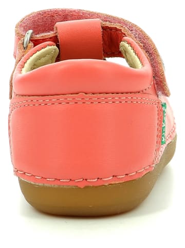 Kickers Skórzane buty "Sushy" w kolorze różowym do nauki chodzenia