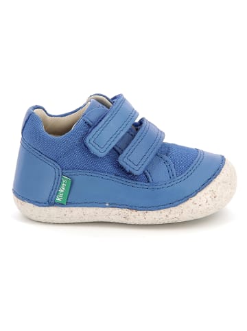 Kickers Skórzane buty "Sostankro" w kolorze niebieskim do nauki chodzenia