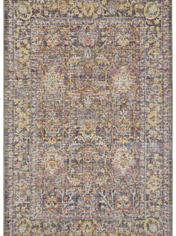 Nouristan Indoor-/ Outdoor-Teppich "Cairo" in Grau/ Bunt