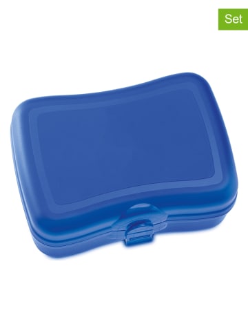 koziol Lunchbox "Basic" donkerblauw - (L)23 x (B)18,3 x (H)4,7 cm