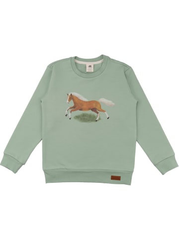 Walkiddy Sweatshirt groen