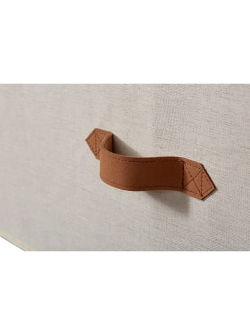 STORE IT Ordnungsbox in Creme - (B)54 x (H)25 x (T)40 cm