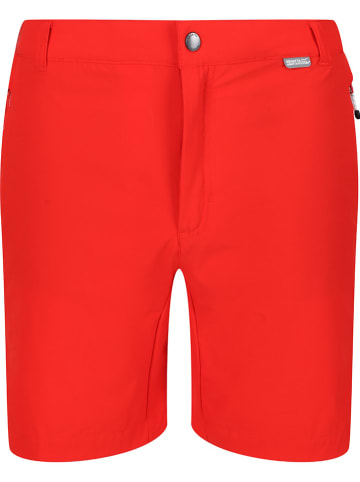 Regatta Funktionsshorts "Mountain" in Rot