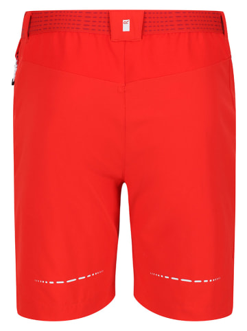 Regatta Funktionsshorts "Mountain" in Rot