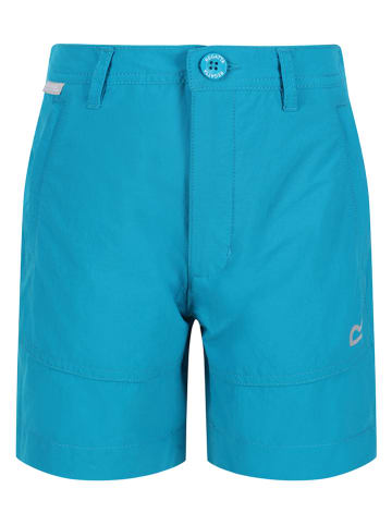 Regatta Funktionsshorts "Highton" in Türkis