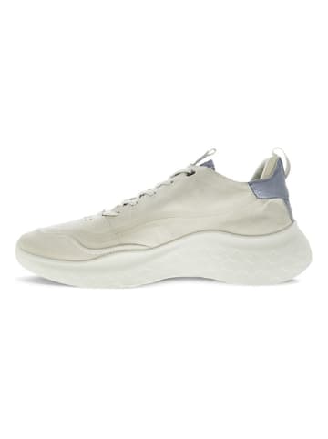 Ecco Leder-Sneakers in Creme