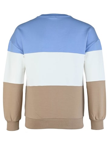 Blue Effect Sweatshirt lichtblauw/wit/beige