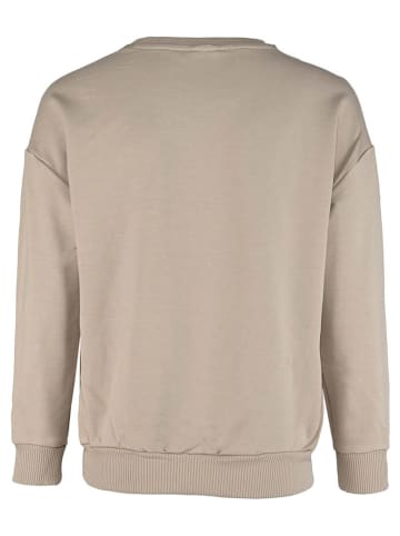 Blue Effect Sweatshirt beige