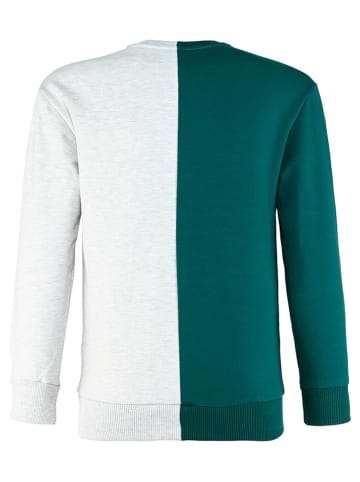 Blue Effect Sweatshirt groen/grijs