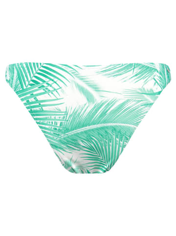 Barts Bikini-Hose "Palmsy" in Türkis