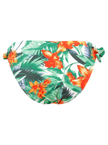 Barts Figi bikini "Ruruthu" w kolorze zielono-pomarańczowym