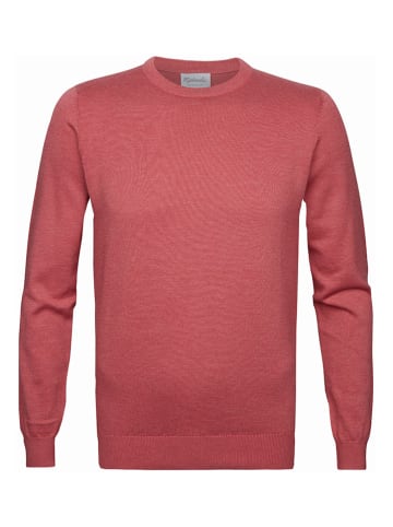 Michaelis Pullover in Pink