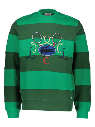 Lacoste Sweatshirt groen