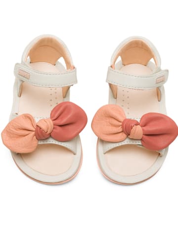 Camper Sandalen "Bicho" in Creme