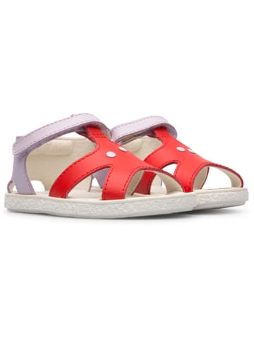 Camper Skórzane sandały "TWS" w kolorze czerwono-fioletowym