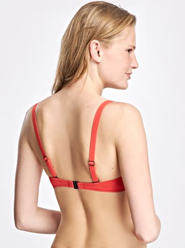 Cocöa Bikini-Oberteil in Bunt