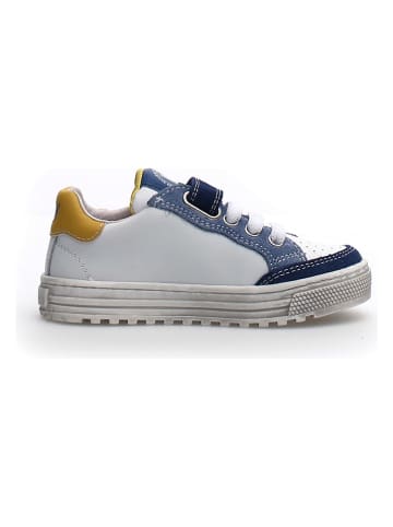 Naturino Leren sneakers wit/donkerblauw