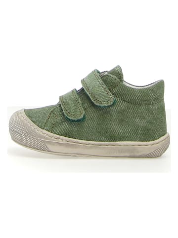 Naturino Leren sneakers groen