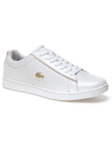 Lacoste Leder-Sneakers "Carnaby Evo" in Weiß