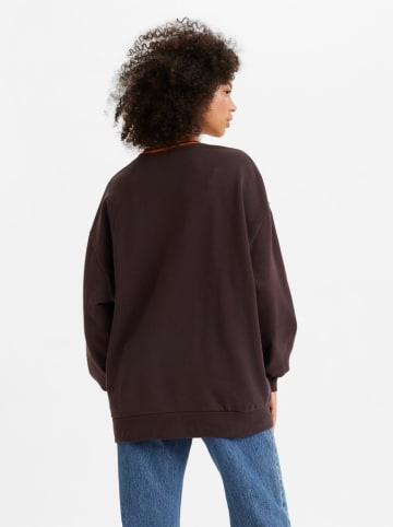 Levi´s Sweatshirt in Braun