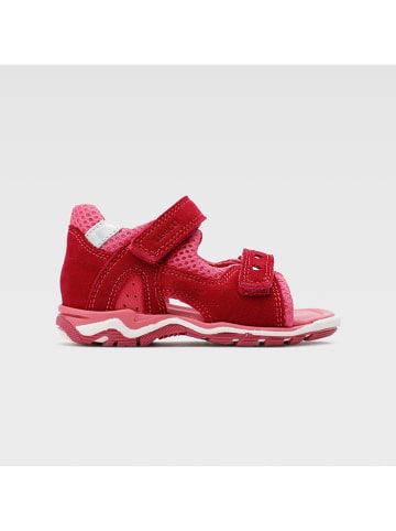 Lasocki Leder-Sandalen in Rot/ Rosa