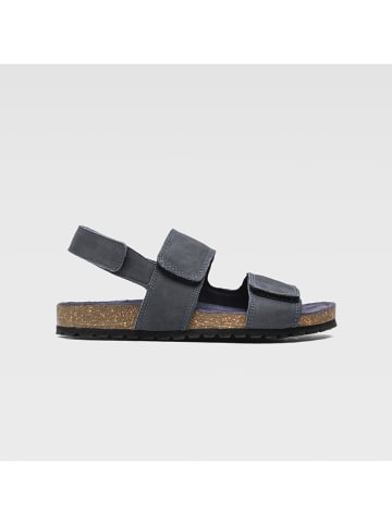 Lasocki Leder-Sandalen in Dunkelblau
