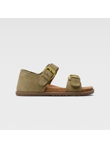 Lasocki Leder-Sandalen in Khaki