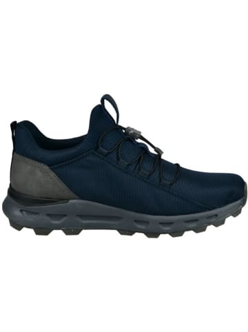 Bugatti Sneakers in Dunkelblau