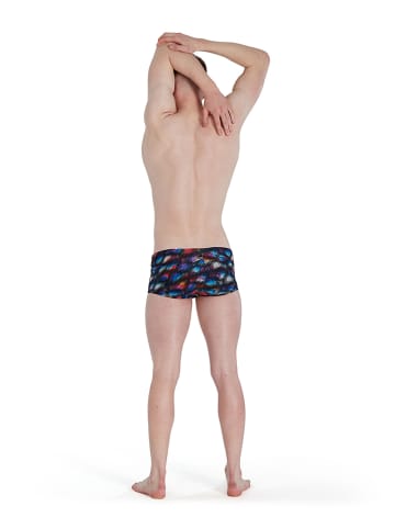 Speedo Badehose in Bunt