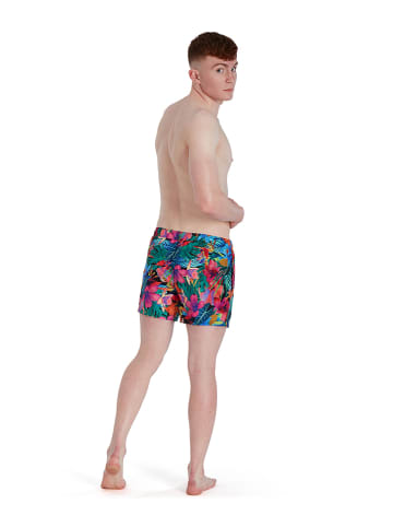Speedo Badeshorts in Bunt