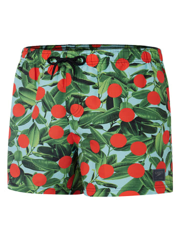 Speedo Zwemshort groen/rood